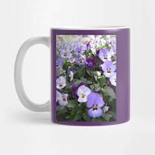 Tulip Time in Canberra Australia 6 Mug